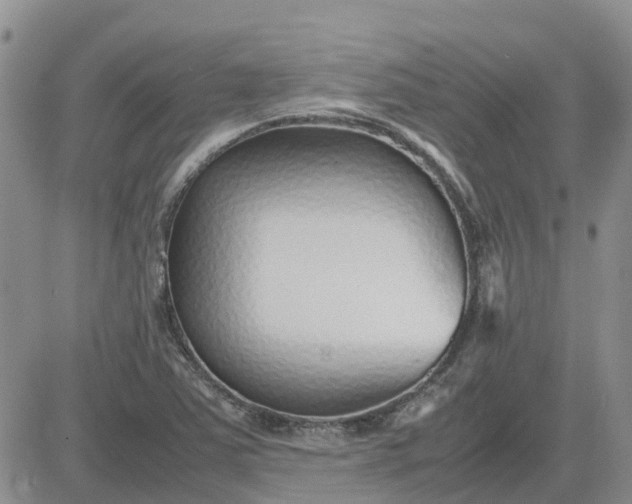 X0000083661363200702261131