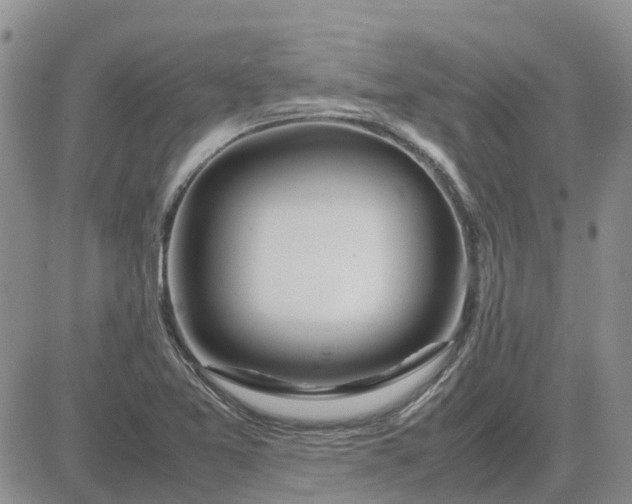 X0000083661365200702261131