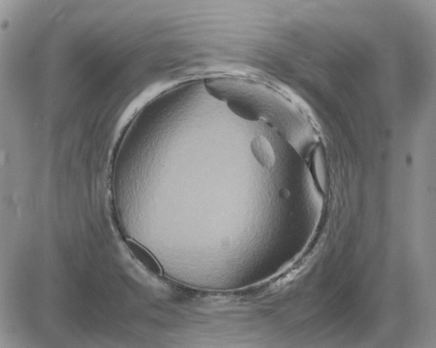 X0000083661373200702261131