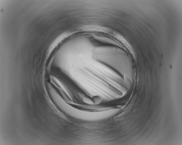 X0000083661376200702261131