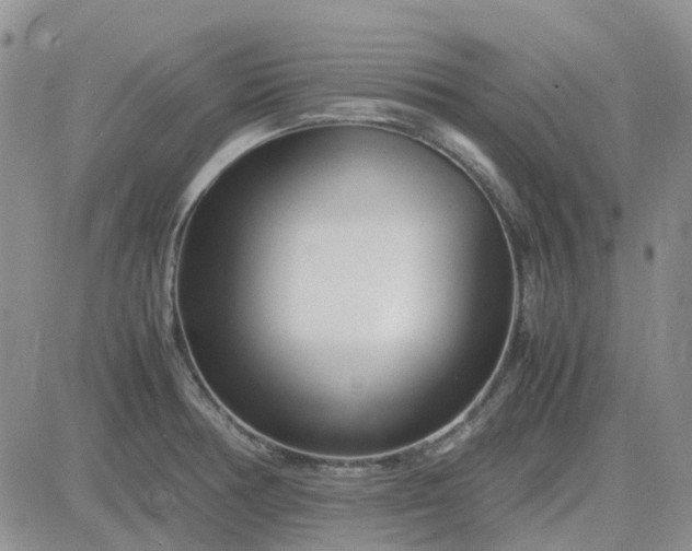X0000083661378200702261131