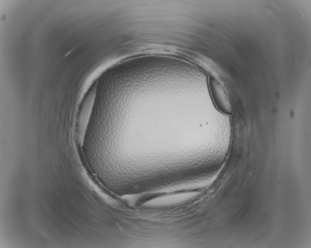 X0000083661379200702261131