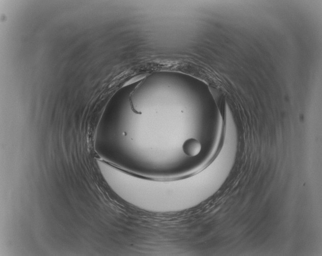 X0000083661394200702261130