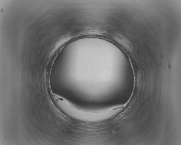 X0000083661404200702261130