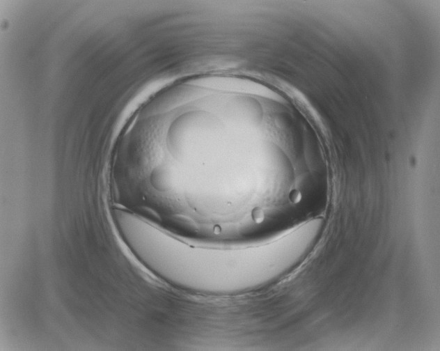 X0000083661432200702261130