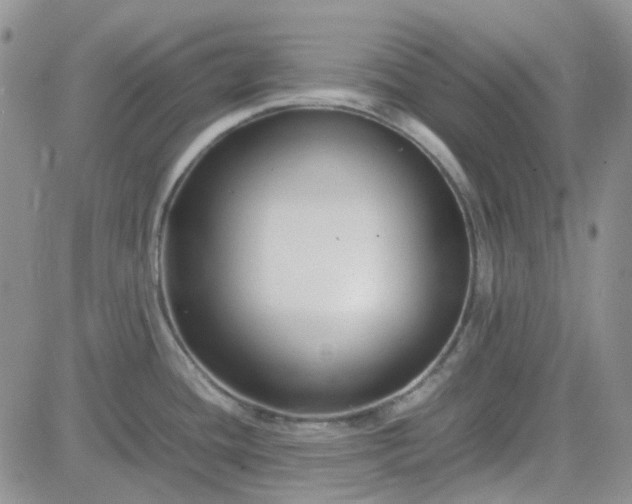 X0000083661436200702261130