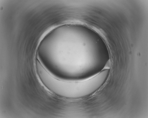 X0000083661440200702261130