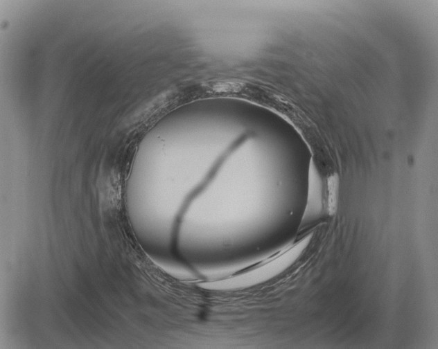 X0000083661443200702261129