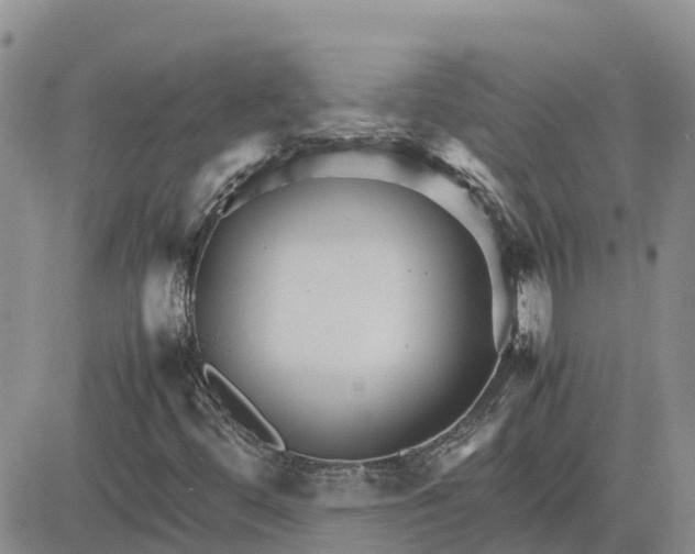 X0000083661444200702261129