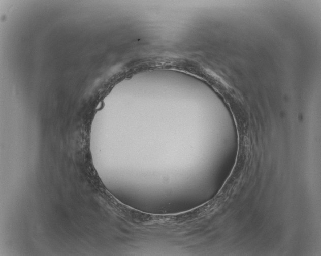 X0000083661447200702261129