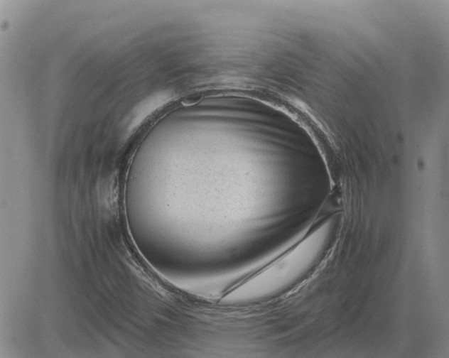 X0000083661450200702261129
