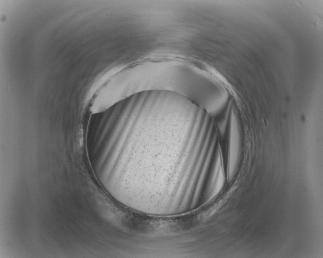 X0000083661461200702261129