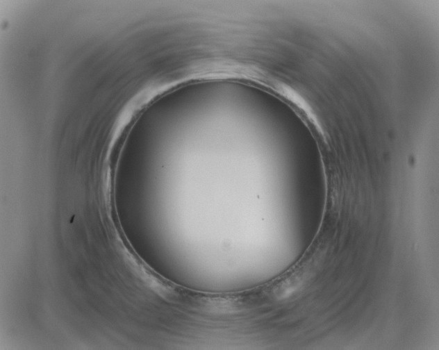 X0000083661472200702261129