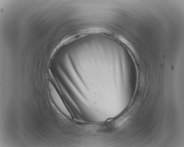 X0000083661473200702261129