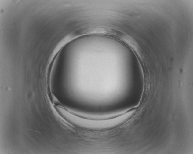 X0000083661475200702261129