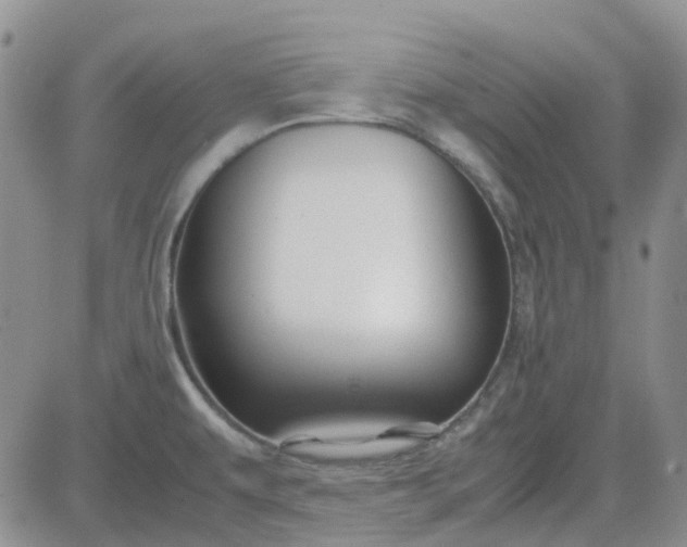 X0000083661479200702261129