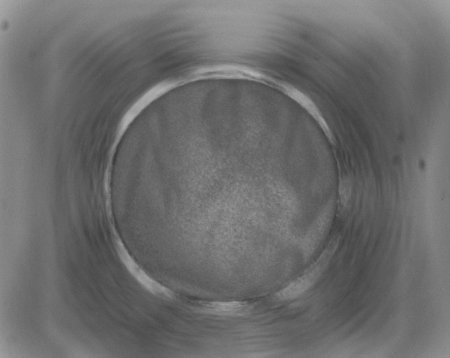 X0000083661482200702261129