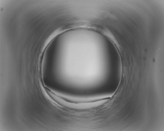 X0000083661483200702261129