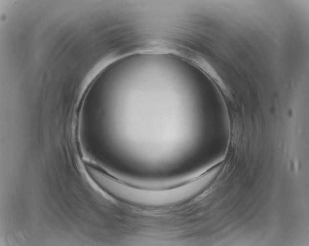 X0000083661484200702261129
