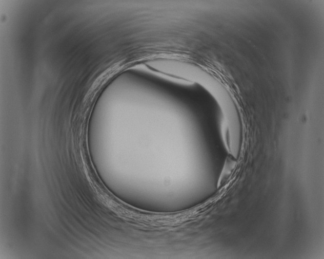 X0000083660001200703051804