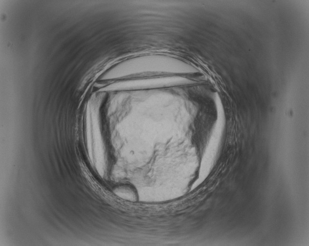 X0000083660002200703051804