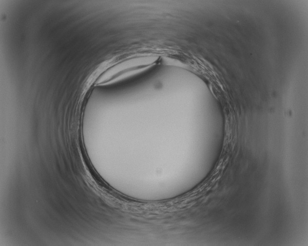 X0000083660003200703051804