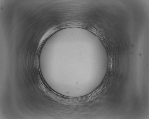 X0000083660004200703051804