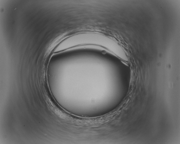 X0000083660005200703051804