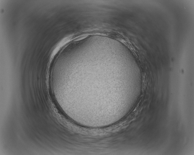 X0000083660006200703051804