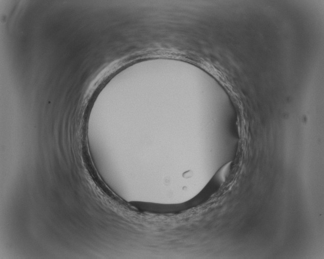 X0000083660007200703051804