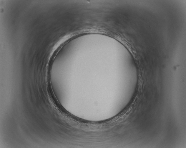 X0000083660008200703051804