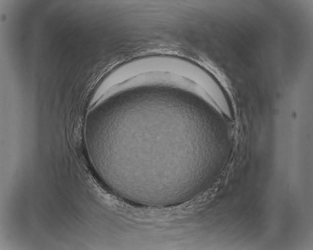 X0000083660009200703051804