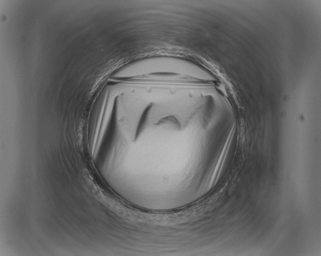 X0000083660010200703051804