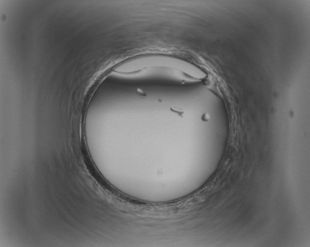 X0000083660011200703051803