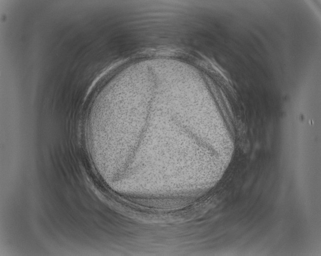 X0000083660012200703051803