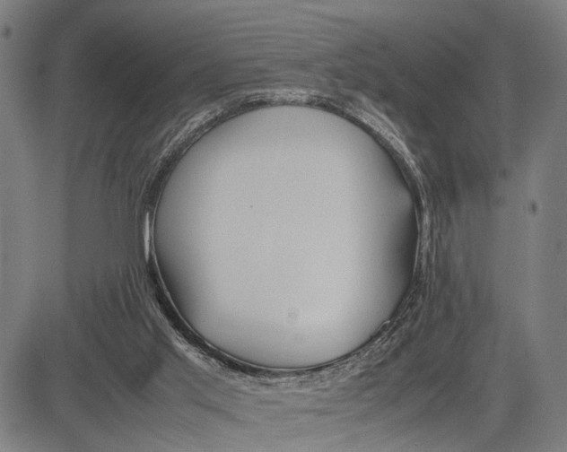 X0000083660013200703051803