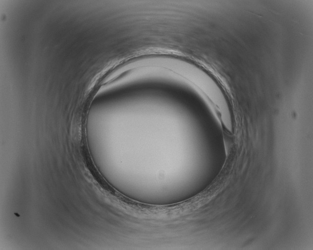 X0000083660015200703051803