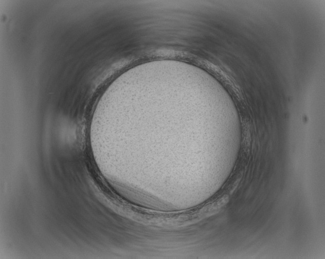 X0000083660016200703051803