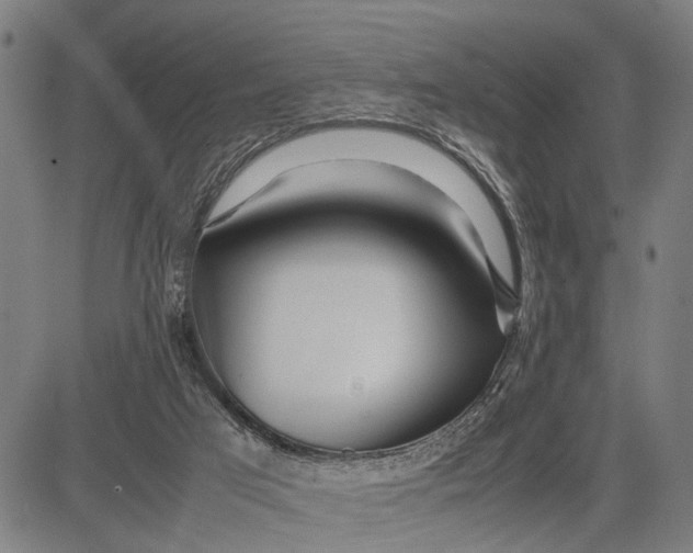 X0000083660017200703051803