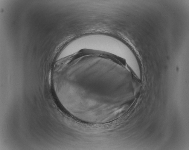 X0000083660019200703051803