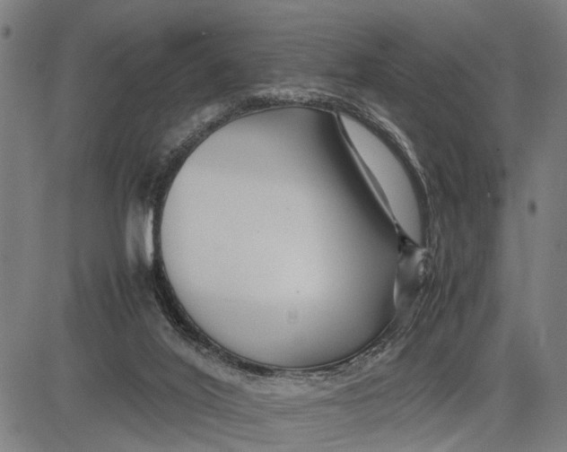 X0000083660020200703051803