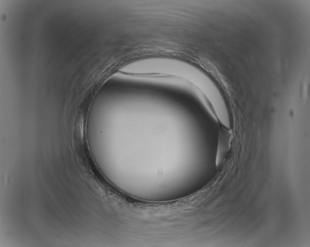 X0000083660021200703051803