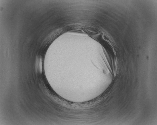 X0000083660022200703051803