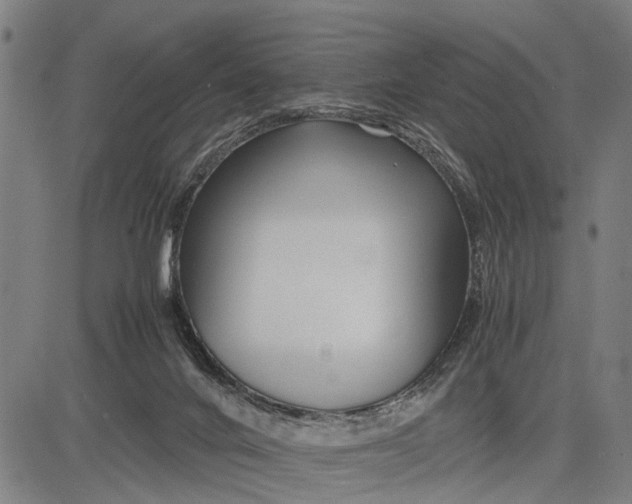 X0000083660024200703051803