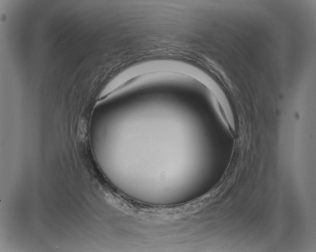 X0000083660025200703051803