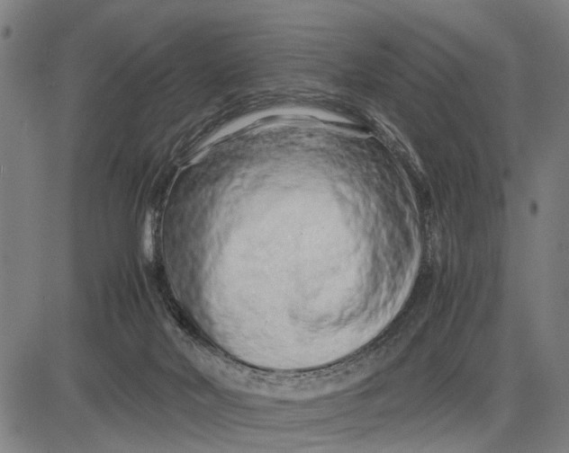 X0000083660026200703051803