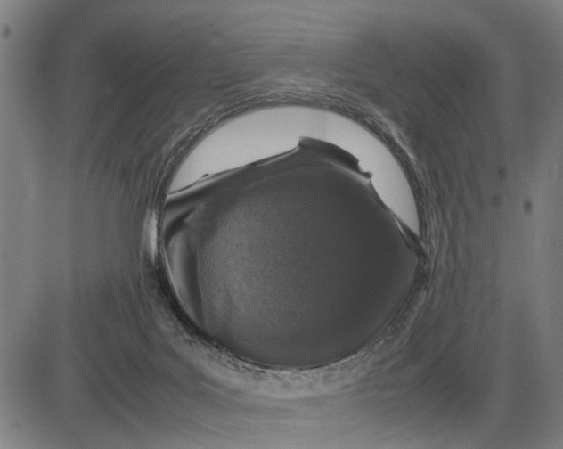 X0000083660027200703051803