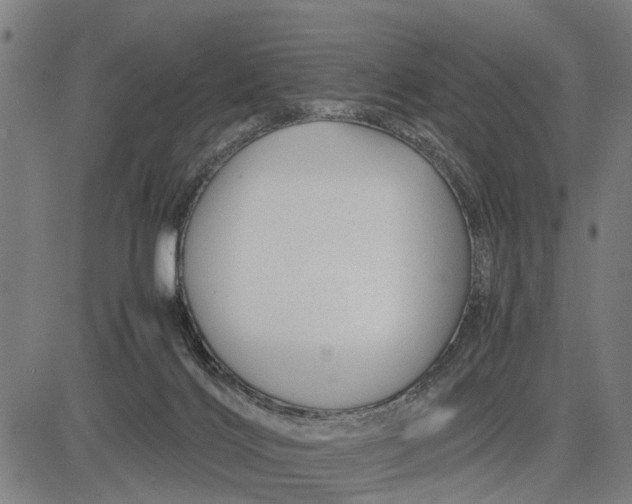 X0000083660028200703051803