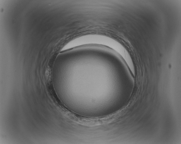 X0000083660029200703051803