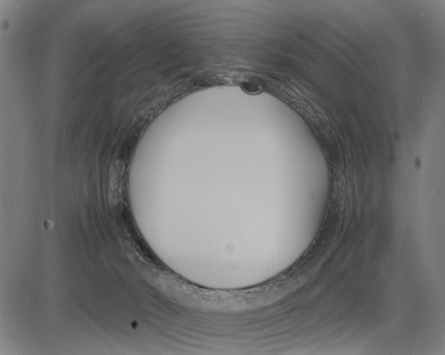 X0000083660030200703051803